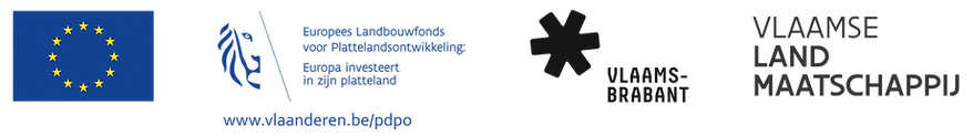 logo's EU & Vlaanderen