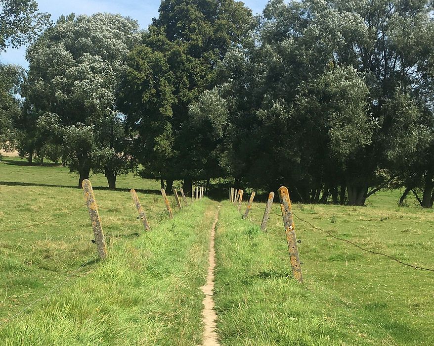 Landschap Pajottenland