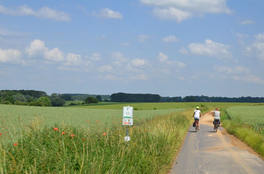 © Regionaal Landschap Pajottenland & Zennevallei